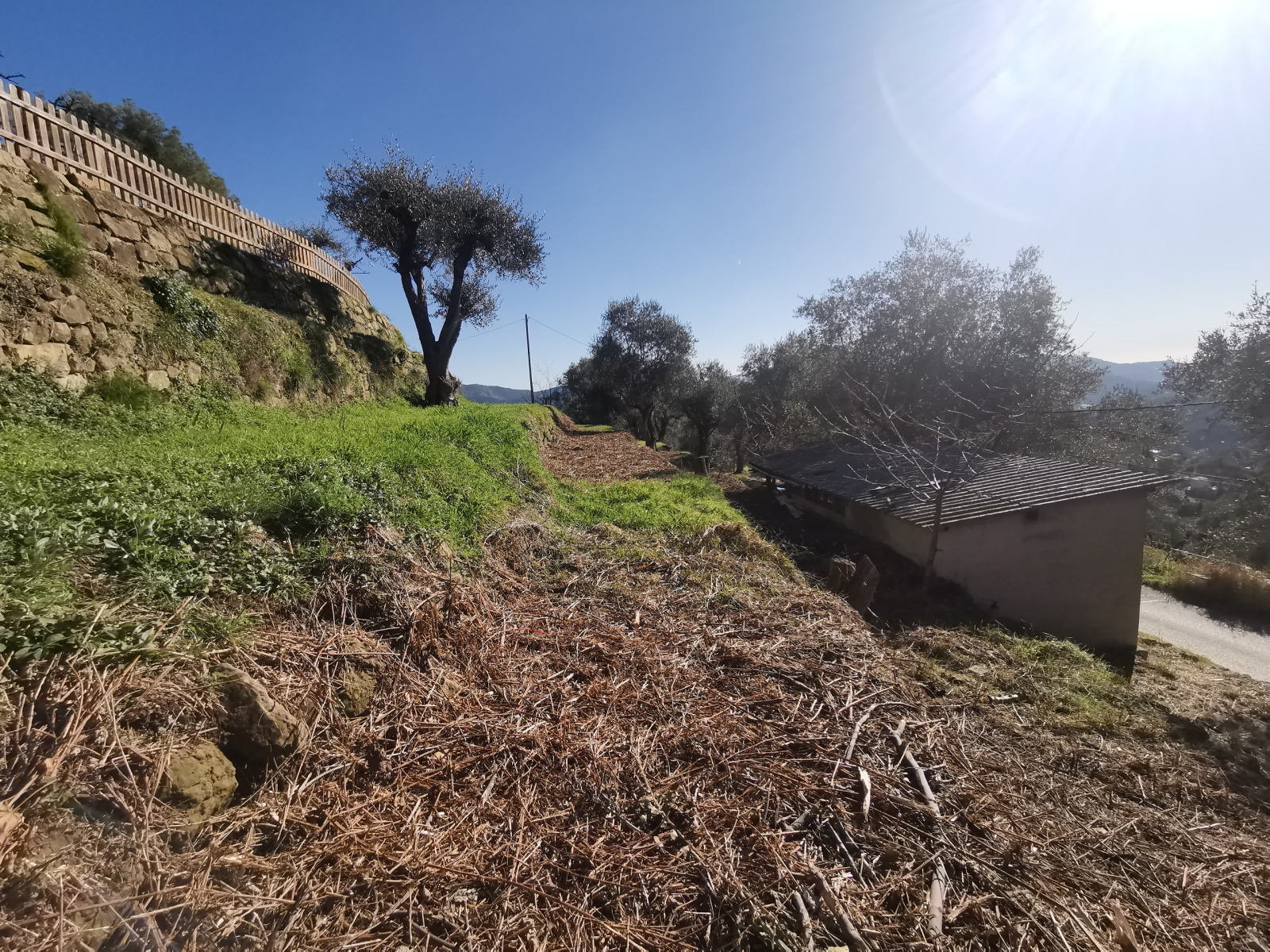 Image_4, Terrain, Contes, ref :185