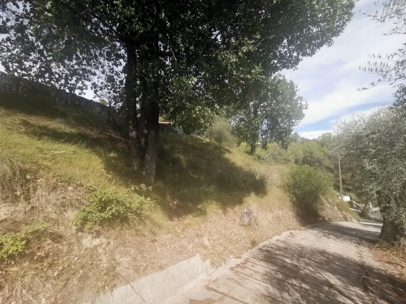 Image_4, Terrain, Contes, ref :189