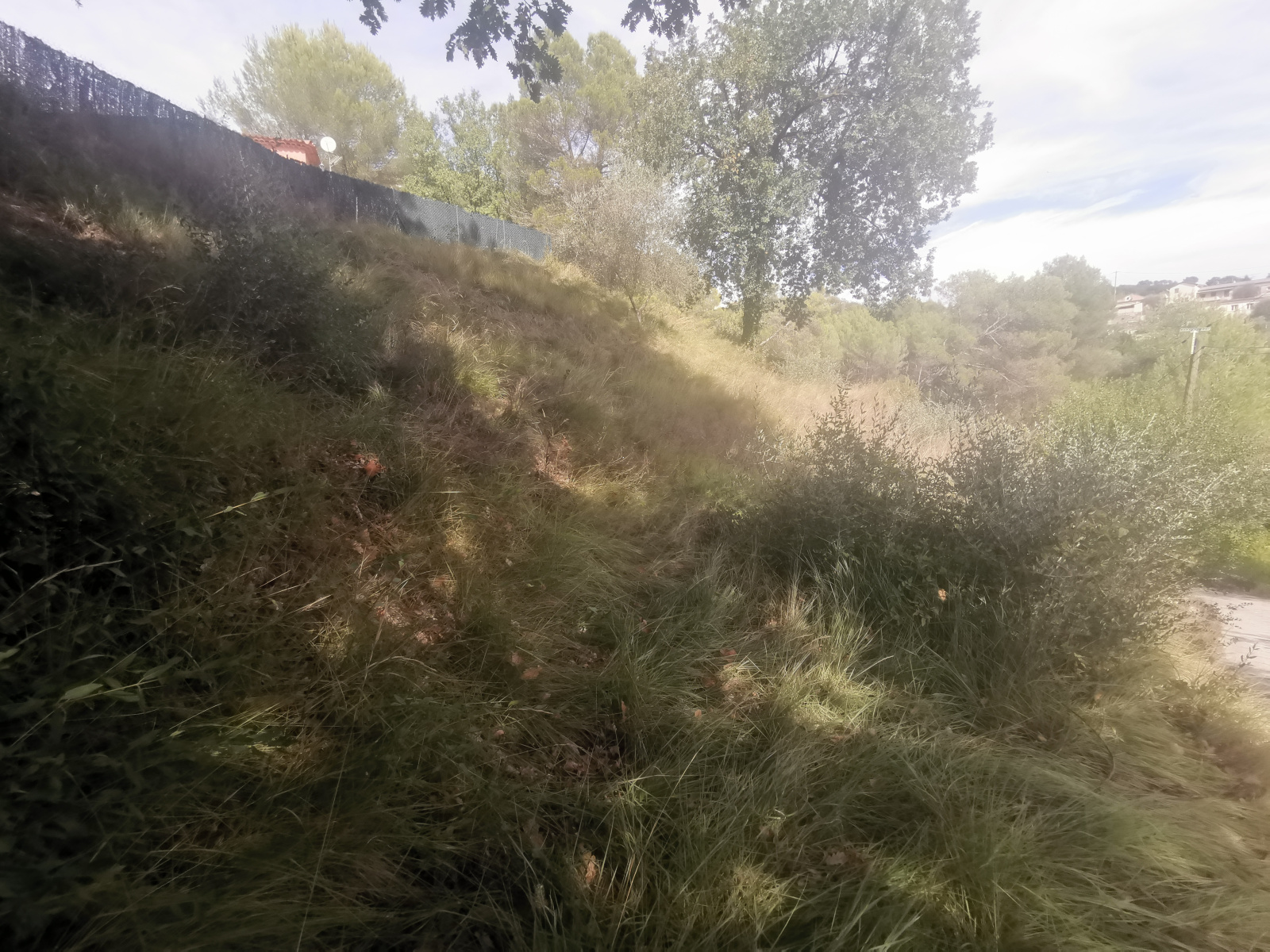 Image_3, Terrain, Contes, ref :189