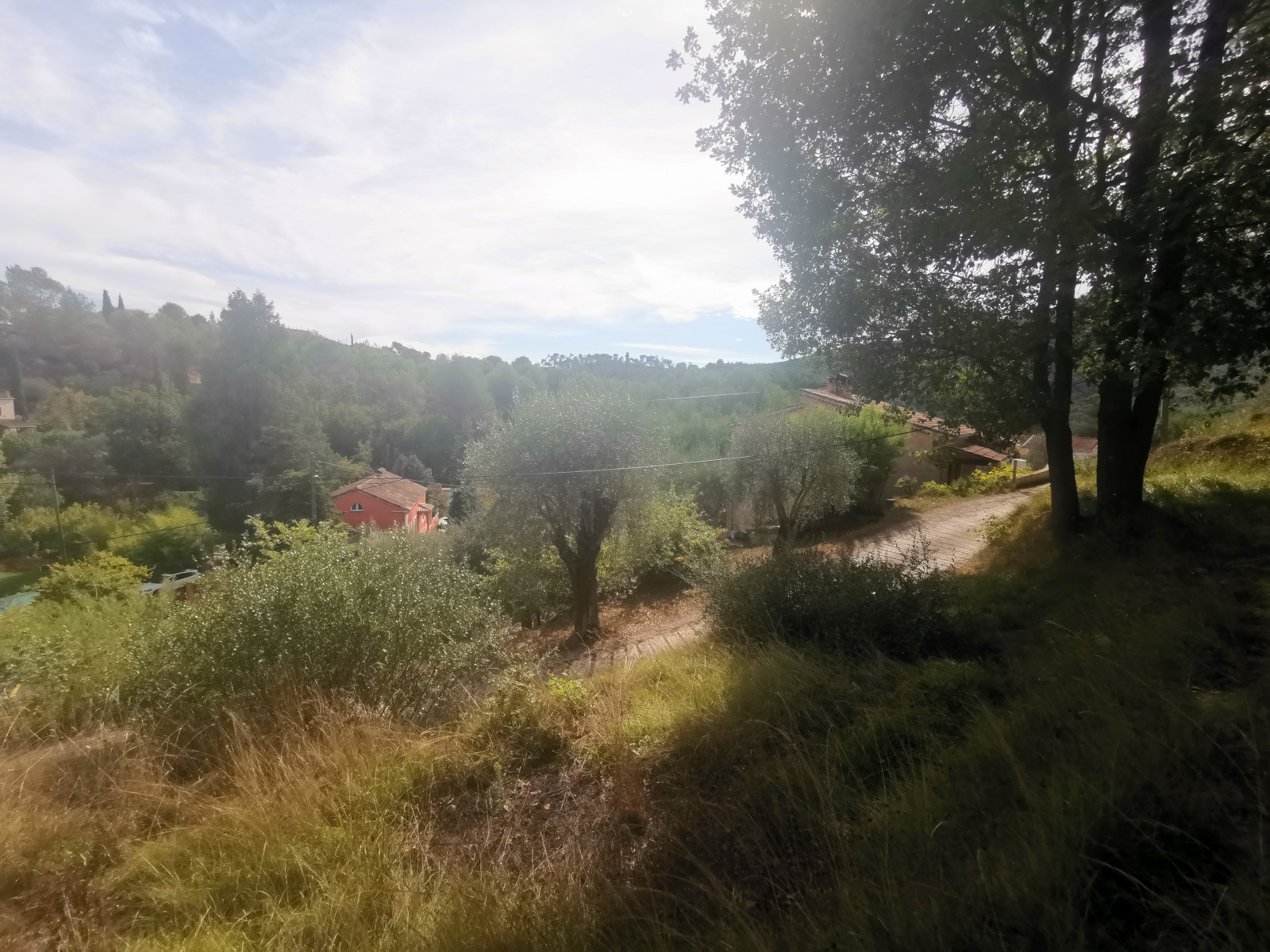 Image_5, Terrain, Contes, ref :189