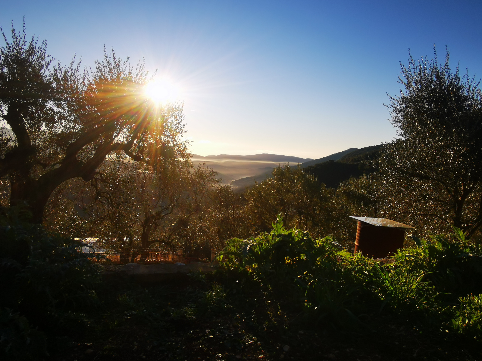 Image_1, Terrain, Bendejun, ref :190